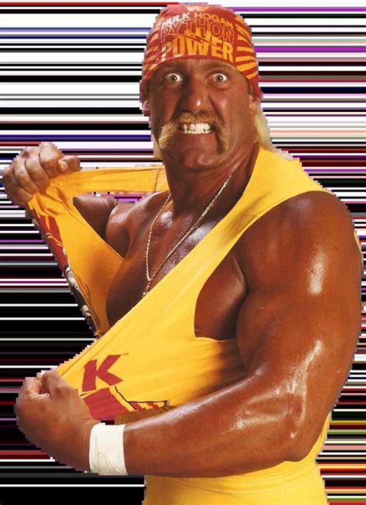 Hulk Hogan in his pre-WWE days
