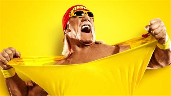 Hulk Hogan interview in Legends of Wrestling 2