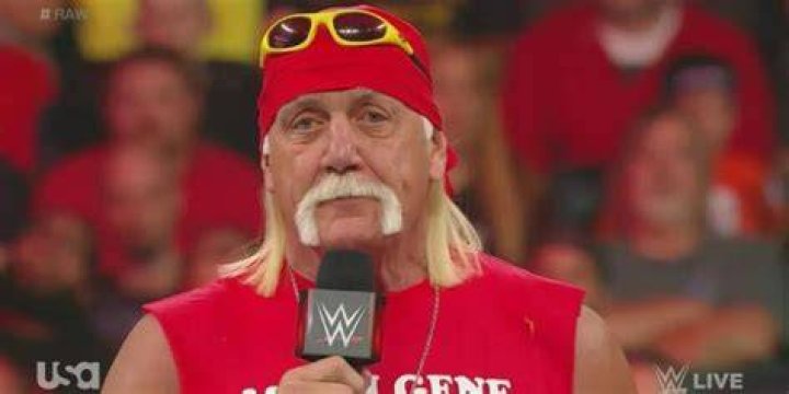 Hulk Hogan Mean Gene Tribute
