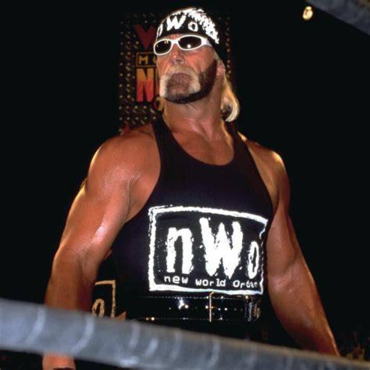 Hulk Hogan NWO 