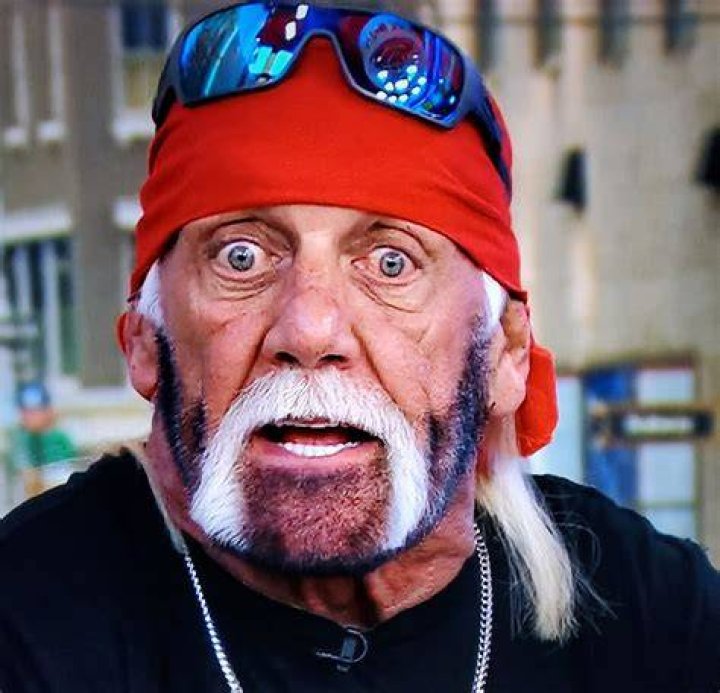 Hulk Hogan Once Succumbed After Demanding $25 Million for 17,000 Sq. Ft Mansion