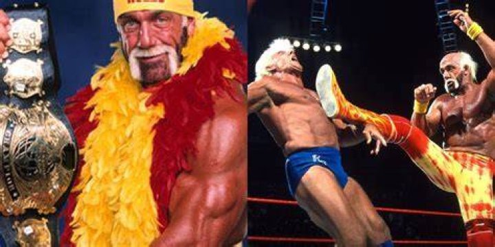 Hulk Hogan Ric Flair WWE