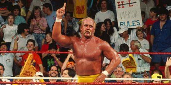 Hulk HOgan Royal Rumble