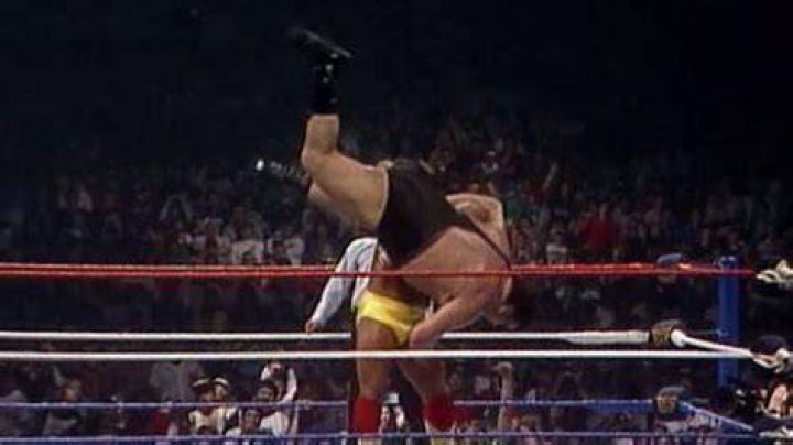 Hulk Hogan slams Andre The Giant