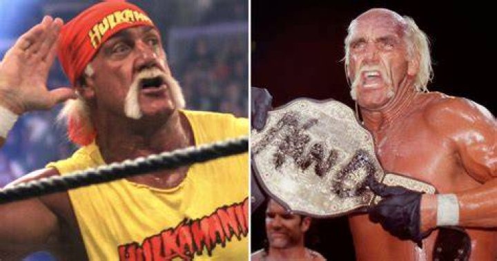 Hulk Hogan Turns To Dark Side 