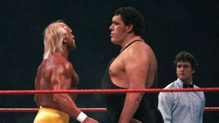 Hulk Hogan Vs Andre The Giant WrestleMania 4 