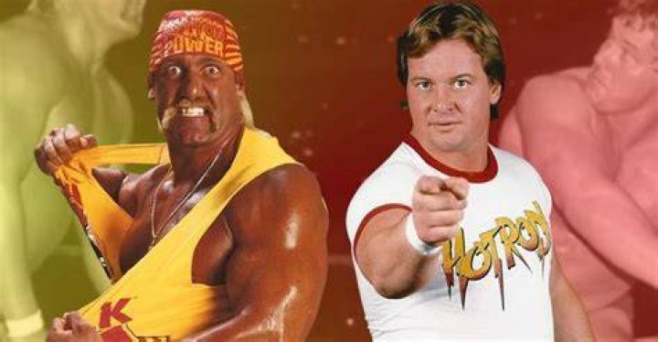 Hulk Hogan vs Roddy Piper WCW WWE