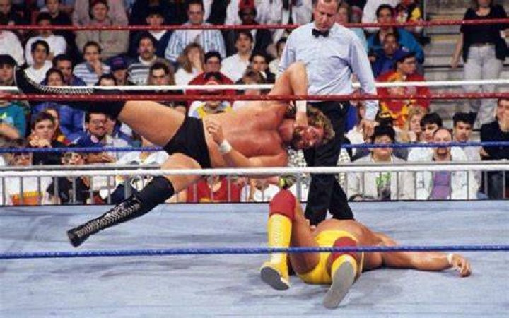 Hulk Hogan vs. Ted Dibiase in Legends of Wrestling