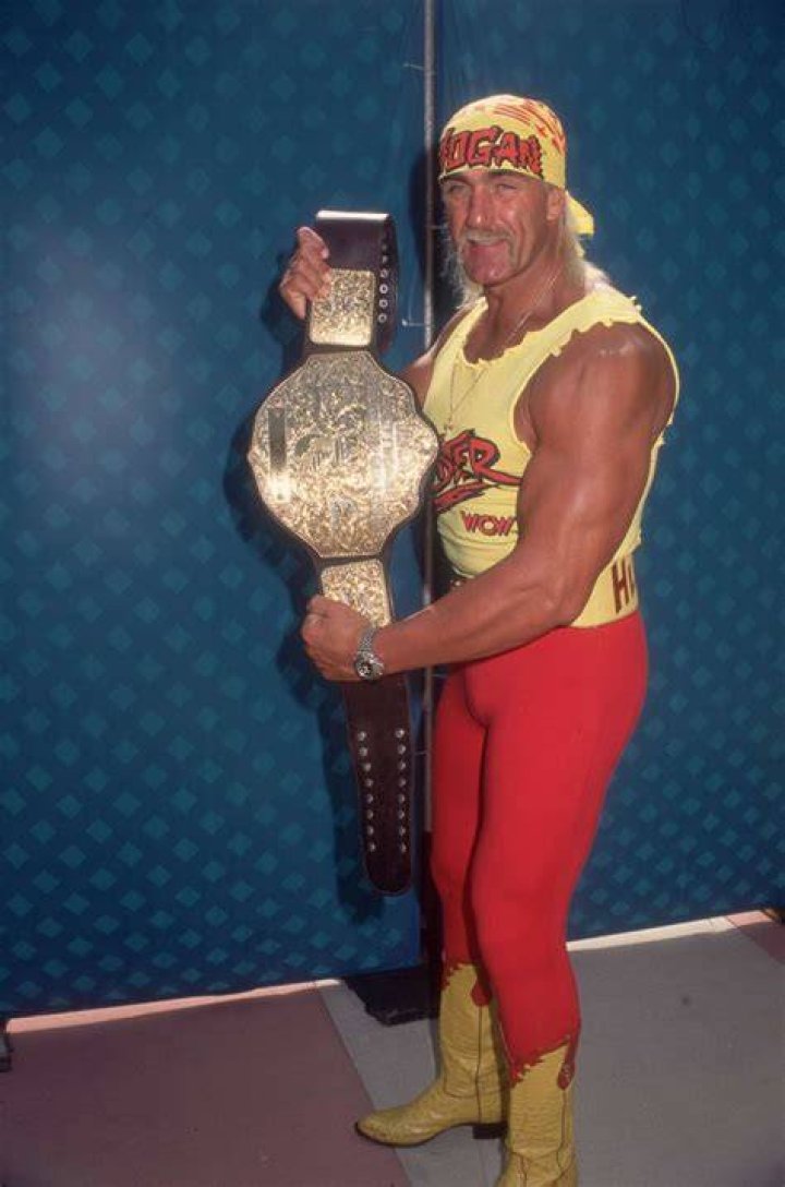 Hulk Hogan WWE Champion 3rd Reign 1991