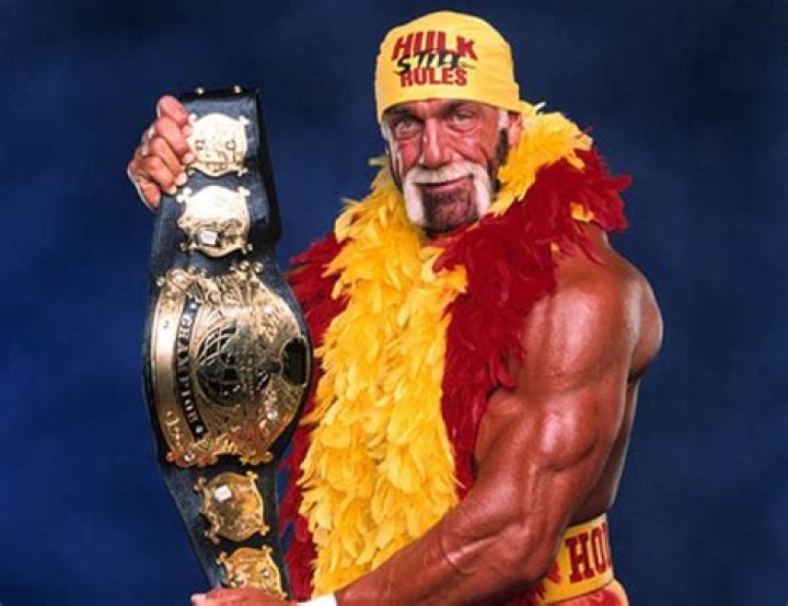 Hulk Hogan WWF Champion Cropped-1