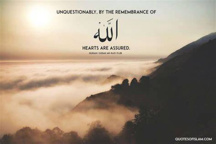 Inspirational Islamic Quotes 1242x1830 Wallpaper teahub.io