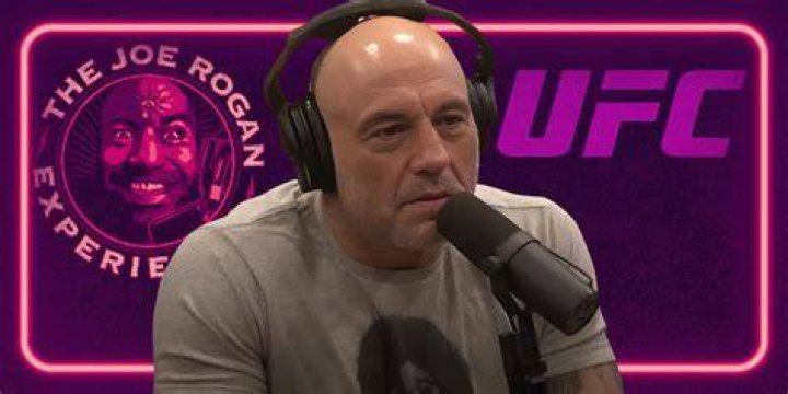 Is UFC Legend & Spotify Podcaster Joe Rogan Related to The Boys Producer Seth
Rogen?
