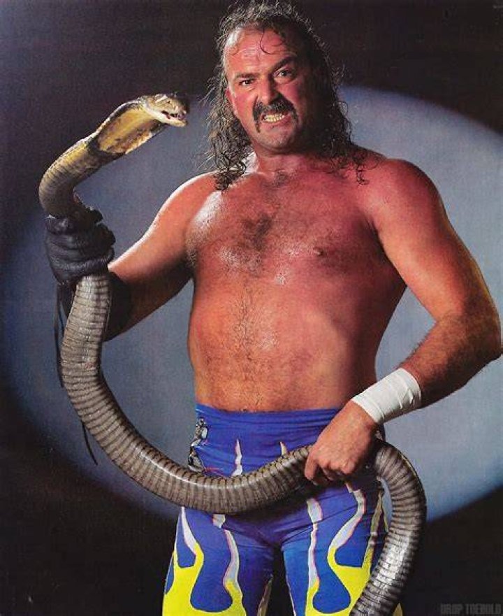 Jake Roberts dangles a snake on Dean Ambrose's face