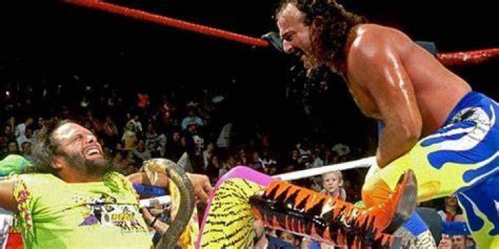 Jake Roberts Vs Randy Savage Tuesday In Texas 3 Cropped