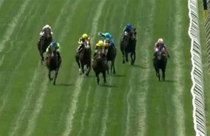 Jockeys Band Together at Belmont Park to Protest ‘Severe’ Suspension Handed to
Apprentice Rider for Repeat Offense