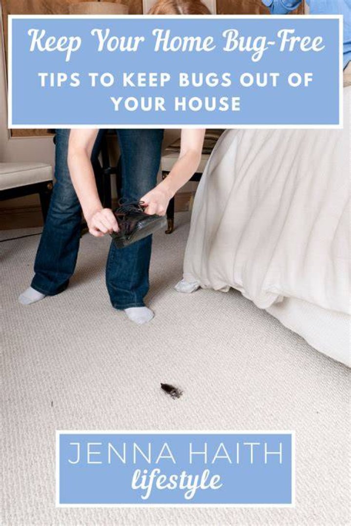 Keep Bugs Out of Your Home This Winter With These DIY Tips