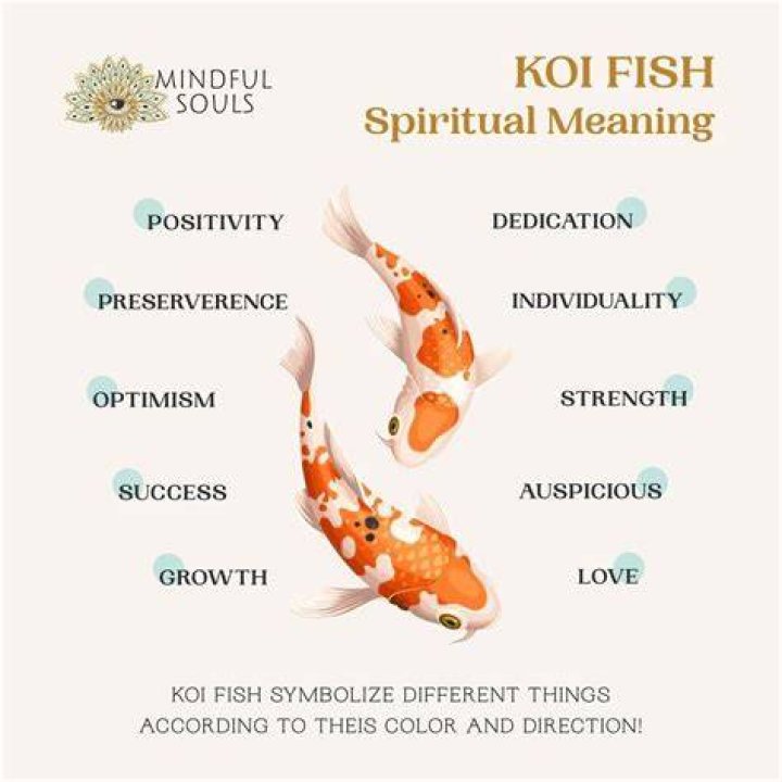Koi fish meaning Unlock the Power Koi Fish Meaning and Feng Shui