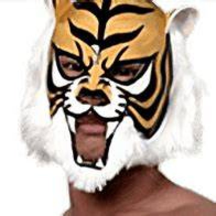Kota Ibushi as Tiger Mask W