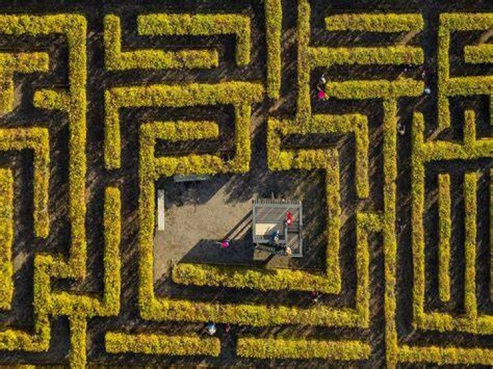 Labyrinth