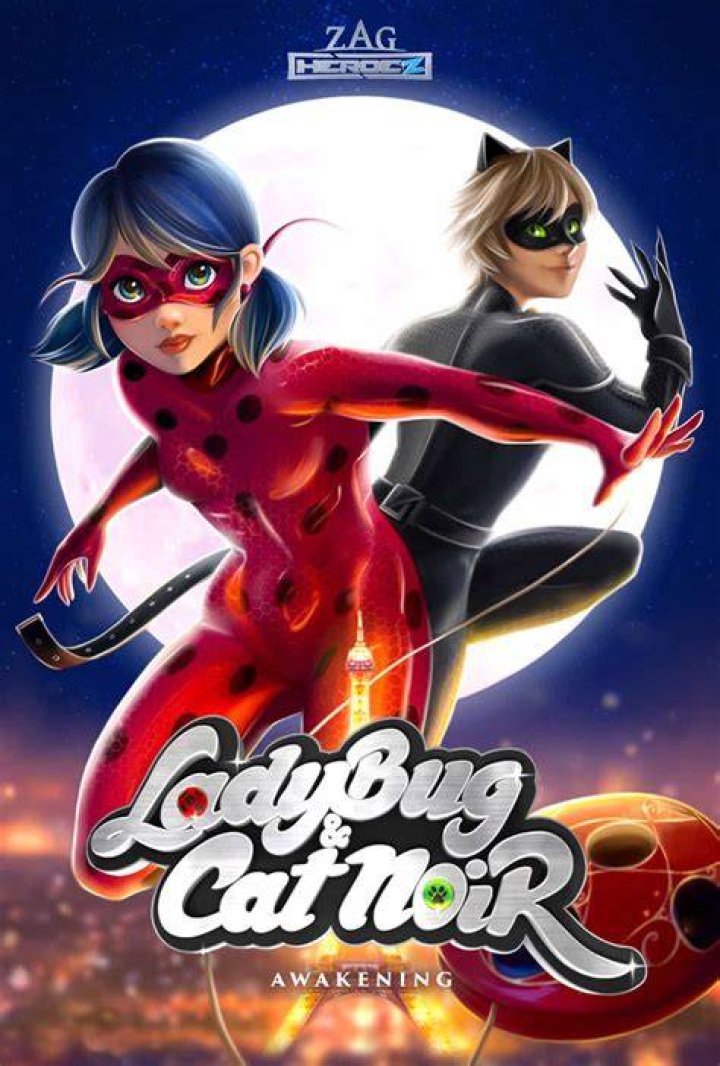 Ladybug & Cat Noir Awakening