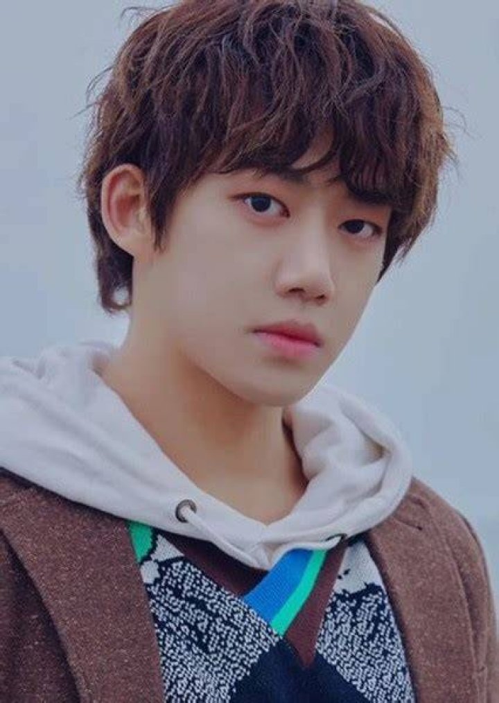 Lee Junyoung Fan Casting