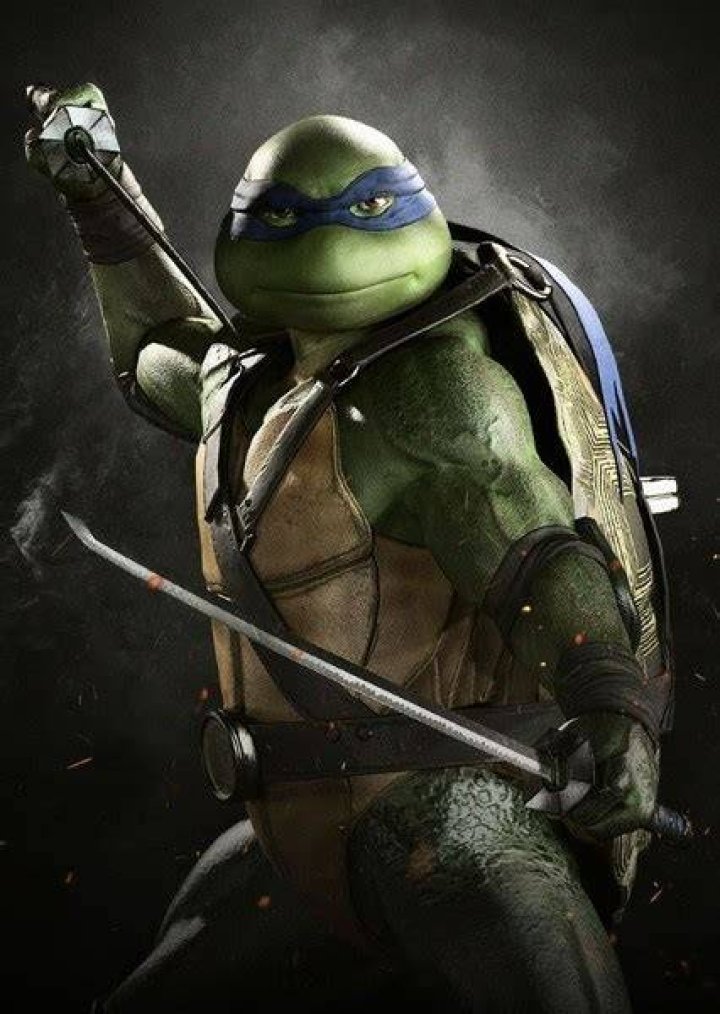 Leonardo (Injustice 2) Fan Casting