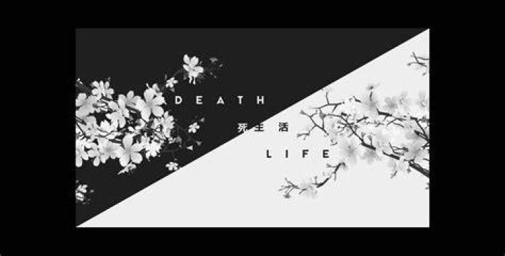 Life Of Death