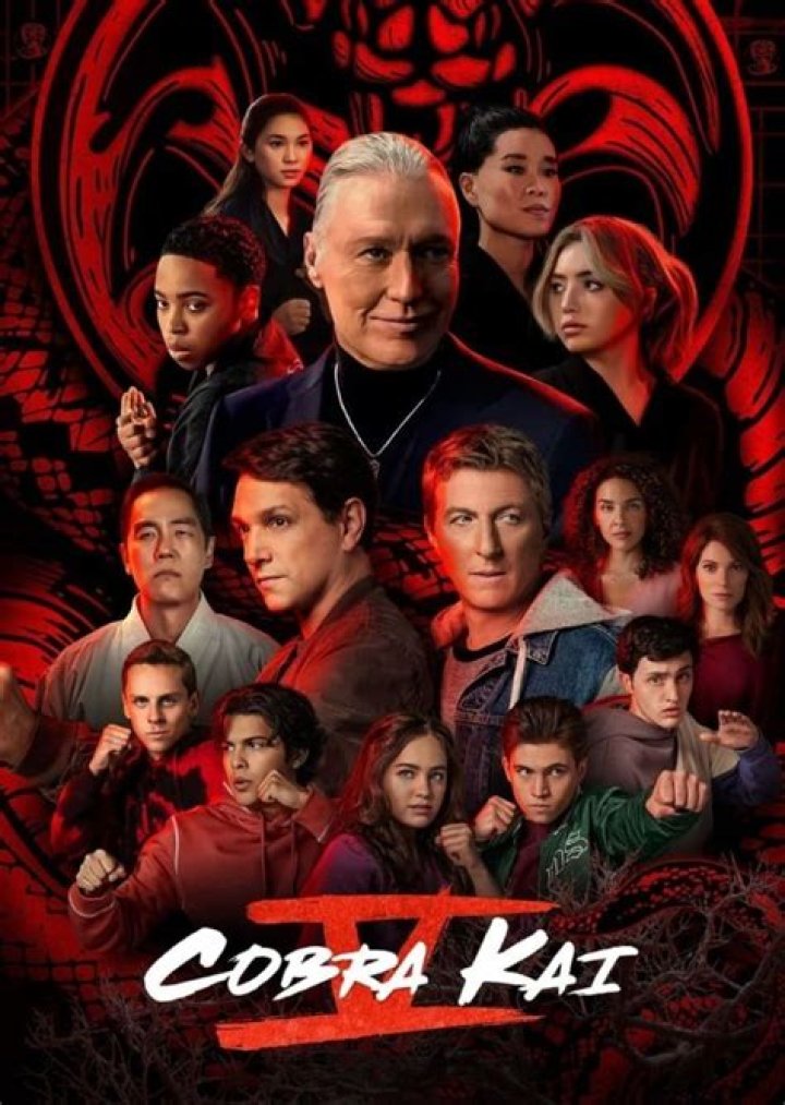 Louie LaRusso Jr. Fan Casting for Cobra Kai Season 6 | myCast