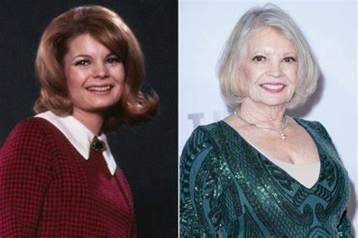 &lsquo;Family Affair&rsquo; Star Kathy Garver Once Revealed She Auditioned for the