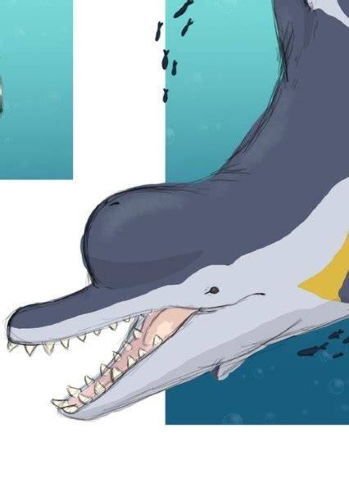 Macroraptorial Sperm Whale Fan Casting