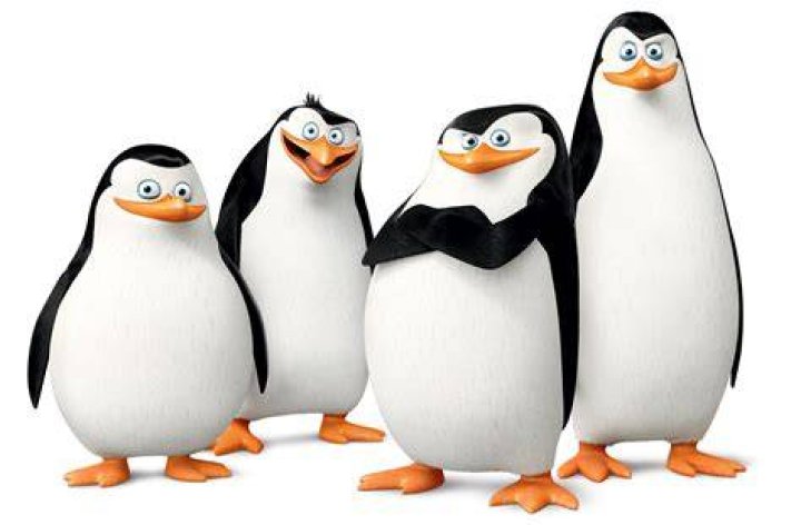 Madagascar Penguins Png Image Banana Penguin Meme Free Transparent