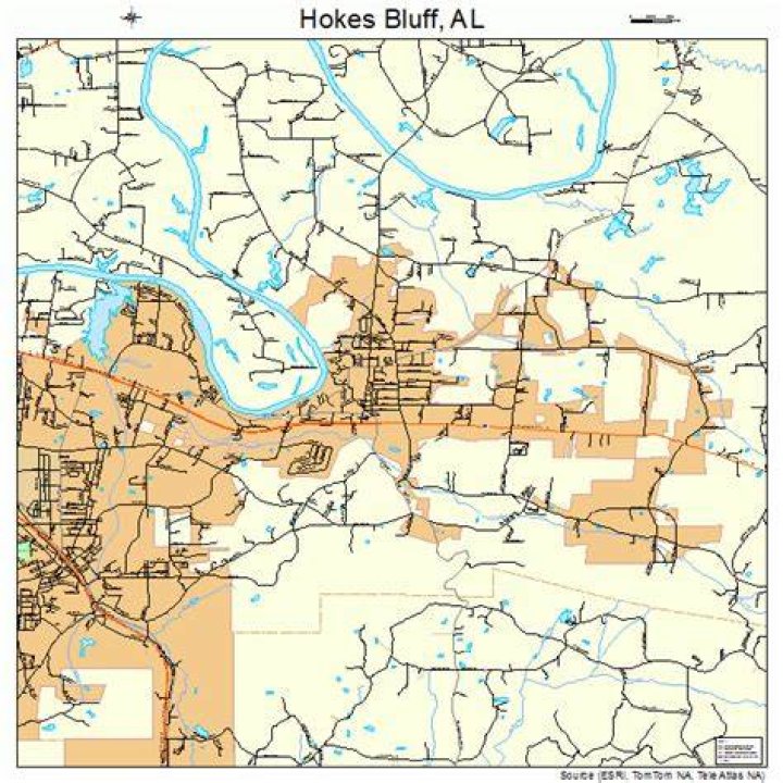 Map of Hokes Bluff city