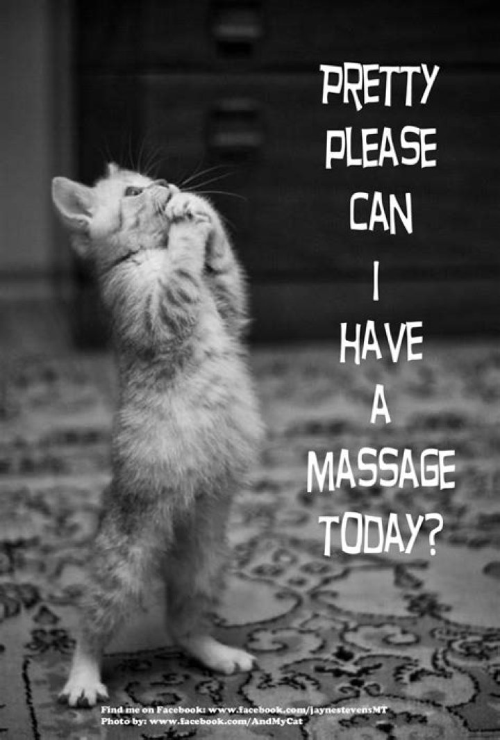 Massage Therapy Funny Quotes. QuotesGram
