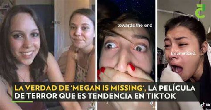 Megan is Missing la verdad detr&aacute;s de la pel&iacute;cula de terror que es