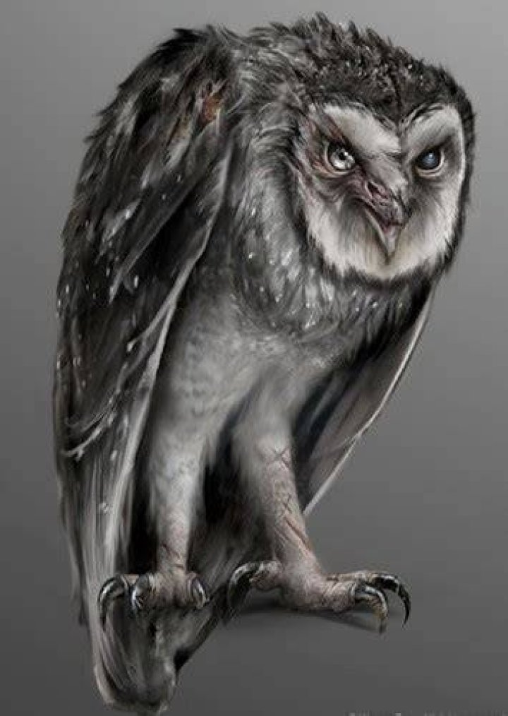 Metalbeak Fan Casting for Legend of the Guardians: The Owls of Ga'Hoole | myCast