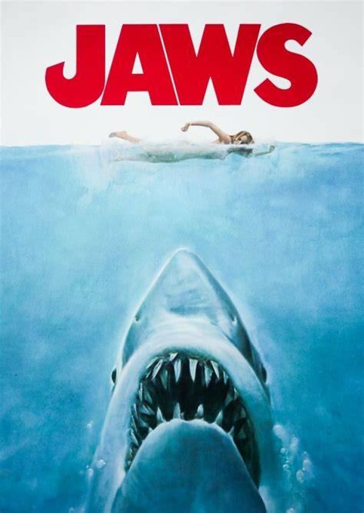 Michael Brody Fan Casting for Jaws: The finished version | myCast