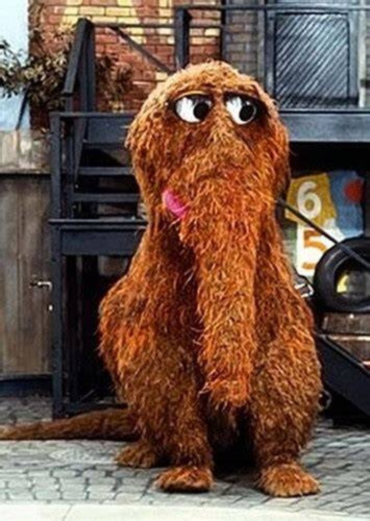 Mr. Snuffleupagus Fan Casting