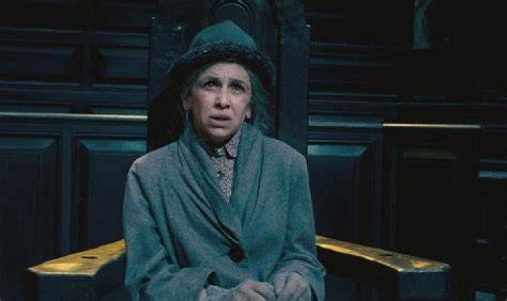 Mrs. Figg Fan Casting for Harry Potter (Adults Only) | myCast