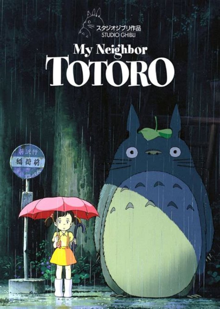 My Neighbor Totoro Fan Casting