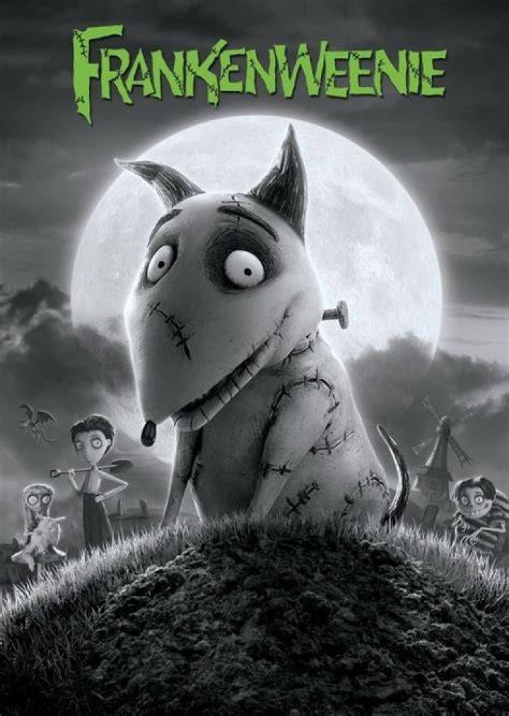 Nassor Fan Casting for Frankenweenie Live Action | myCast
