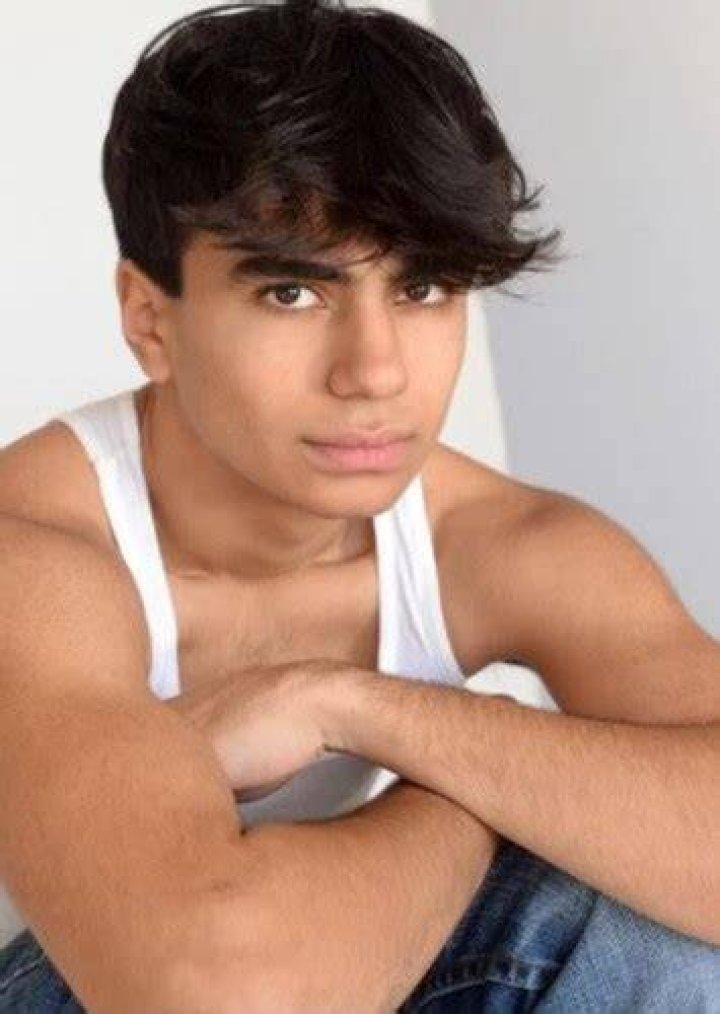 Neel Sethi Fan Casting