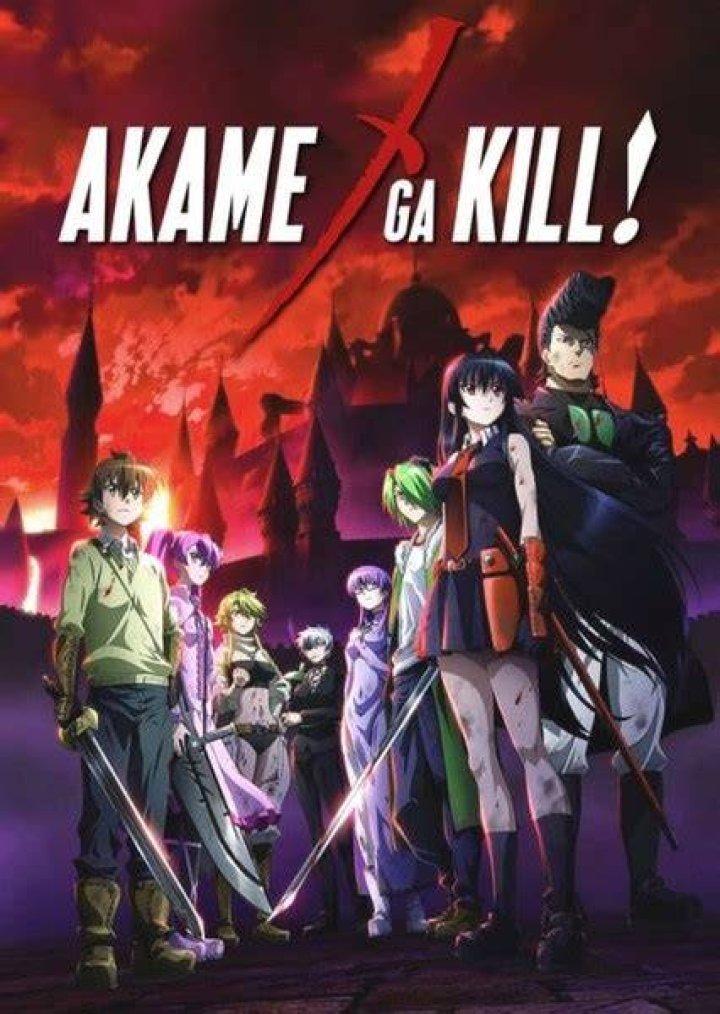Night Raid (Akame Ga Kill!) Fan Casting on myCast
