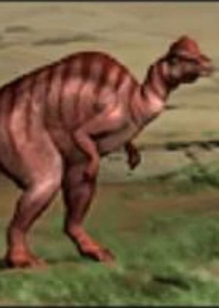 Nipponosaurus Fan Casting