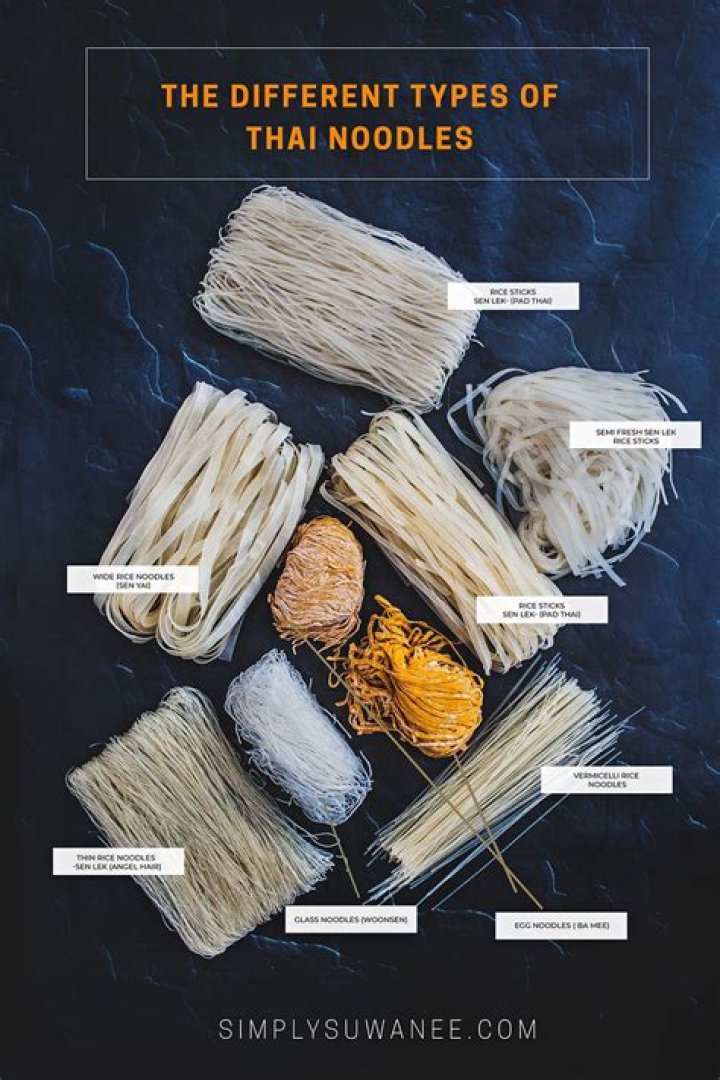 Noidlemagazine: The Ultimate Guide To The World Of Noodles