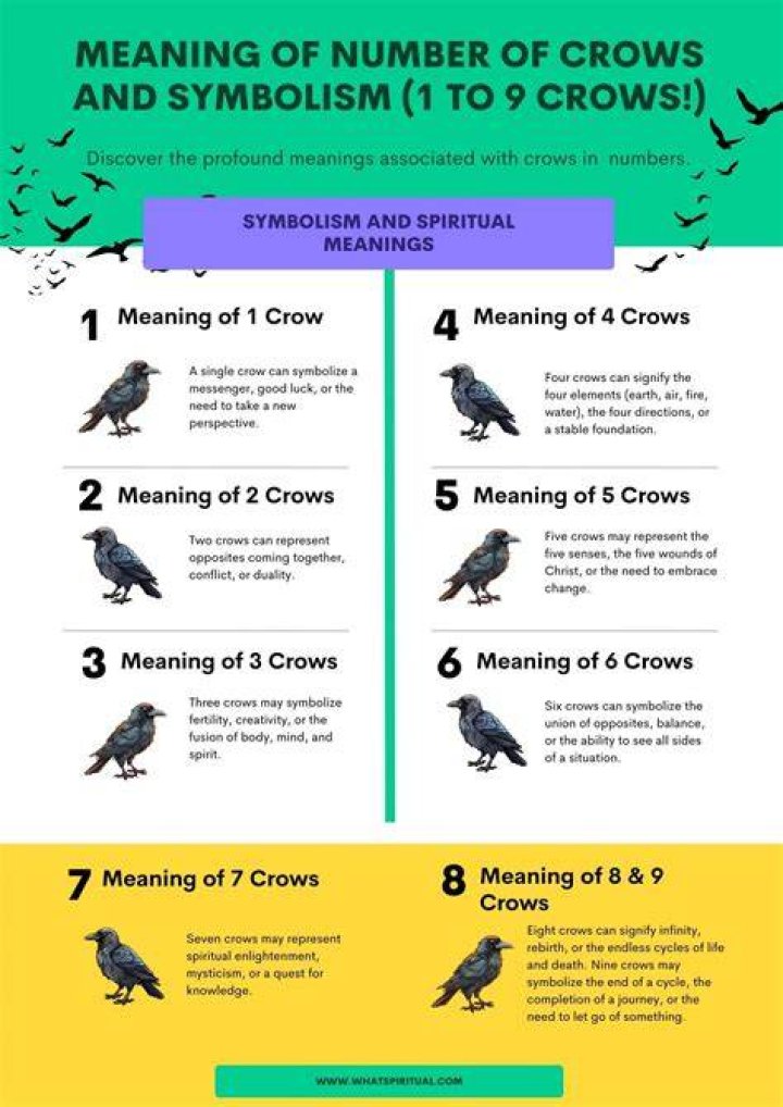 Number of Crows Meaning (1, 2, 3, 4, 5, 6, 7, 8, 9 Crows!)