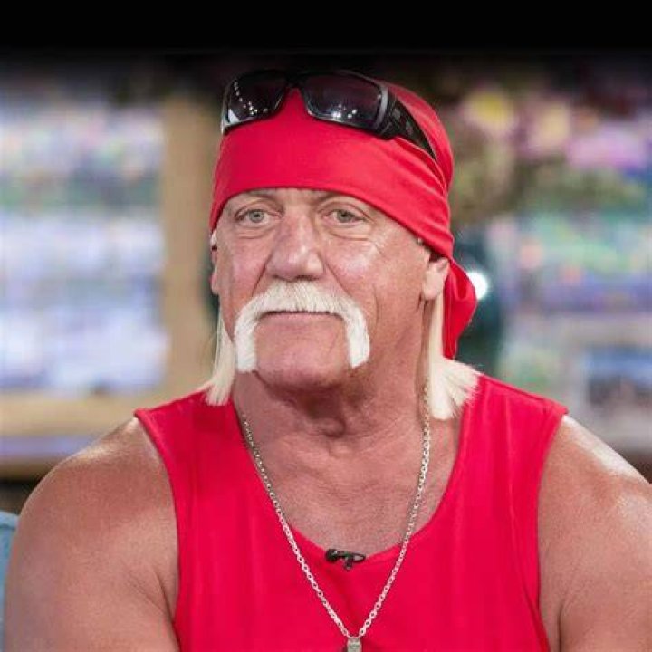 Old Hulk Hogan