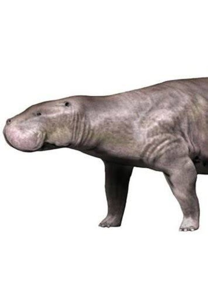 Pezosiren Fan Casting for Prehistory | myCast