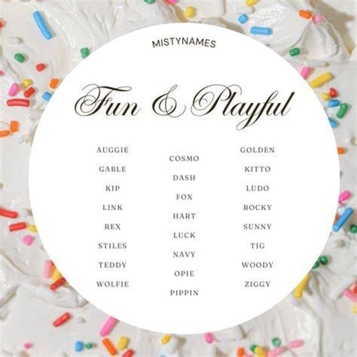 Playful Names: The Art Of Naming With Fun And Creativity