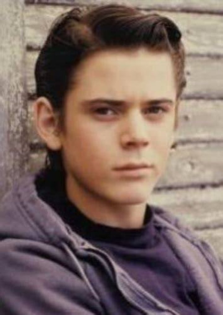 Ponyboy Curtis Fan Casting for The Outsiders | myCast
