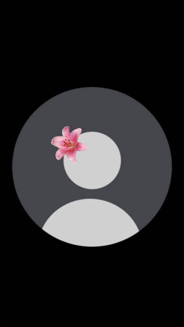 Profile Pinterest